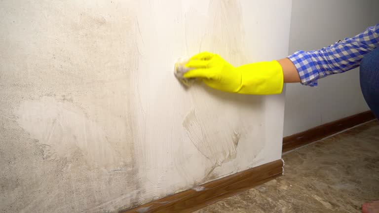 Best Mold Prevention Services  in Wahpeton, ND